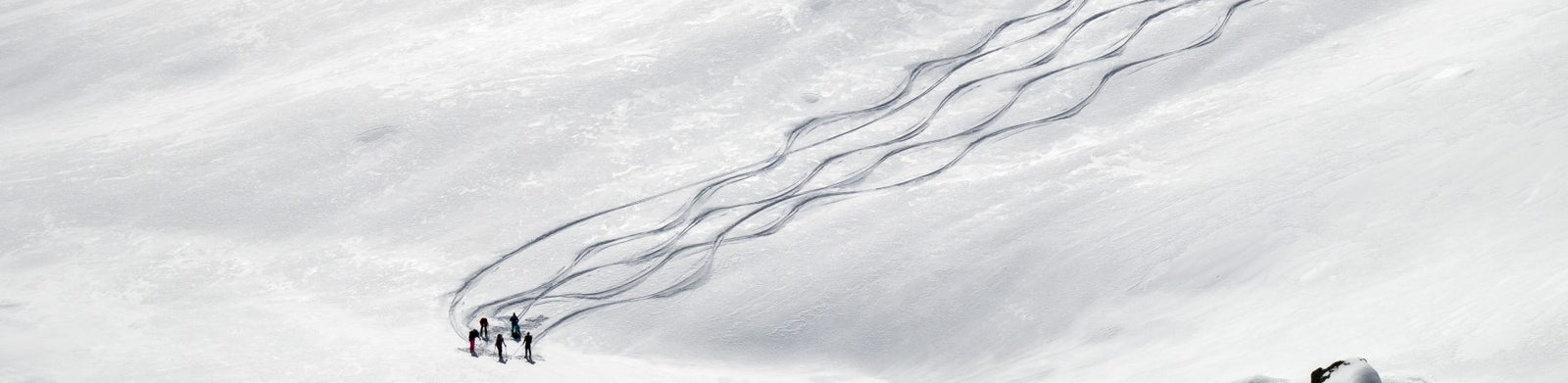 DOWN SKIS 24/25 LINE-UP